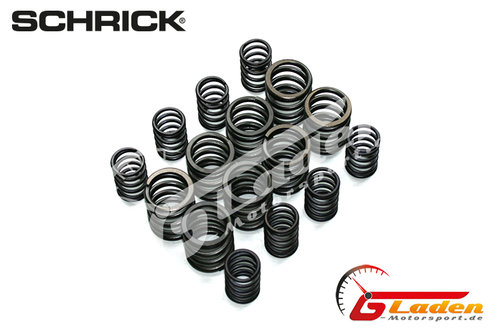 VW 8V 4 Zyl. 2 Vent. SCHRICK Ventilfedern bis 13mm Hub