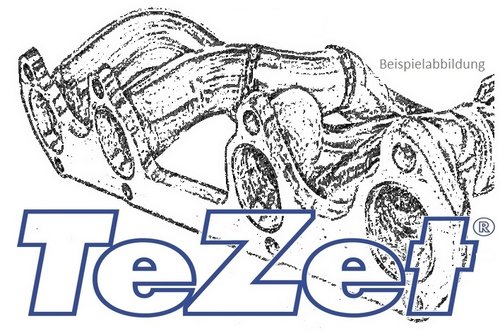 Original TeZet Header VW Golf II 16V (w/o Cat.)