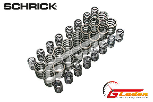 BMW S50, S52 SCHRICK Ventilfedern (316°/308° Wellen) BMW S50, S52 SCHRICK Ventilfedern (316°/308° Wellen)