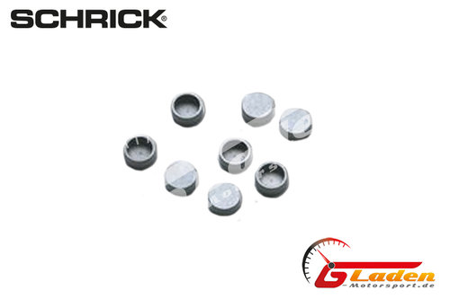 VW Polo 16V SCHRICK mechanische Ausgleichteile (11x17mm) VW Polo 16V SCHRICK mechanische Ausgleichteile (11x17mm)