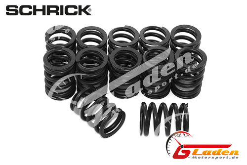 BMW M30 SCHRICK Ventilfedern (-1985) BMW M30 SCHRICK Ventilfedern (-1985)