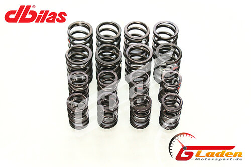 Dbilas valve springs kit mechanical + hydro VW 1.5 - 2.0 Litre 8V