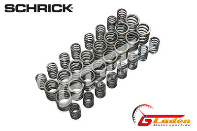 BMW S50, S52 SCHRICK valve springs (316°/308° camshaft)