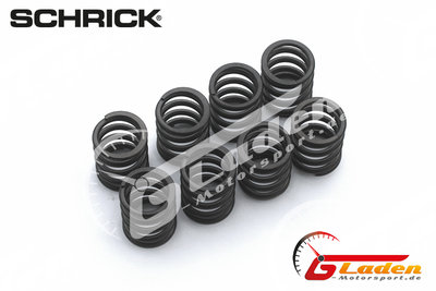 BMW M10 SCHRICK valve springs (-1985)