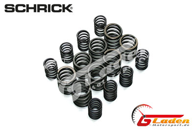 VW 8V 4 Zyl. 2 Vent. SCHRICK Ventilfedern bis 13mm Hub