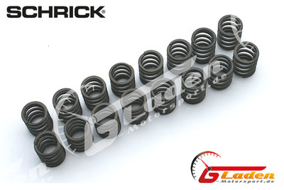 BMW M42 (318is) SCHRICK valve springs