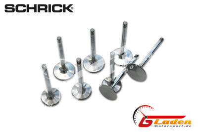 BMW M10 Original Schrick Ein-und Auslass Ventilsatz
