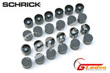 BMW 24V SCHRICK Lifters