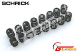 BMW M42 (318is) SCHRICK valve springs