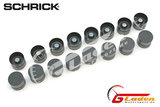 BMW M42 (318is) SCHRICK lifters