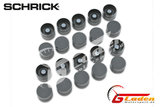 Audi 5 Cylinder 20V SCHRICK Lifter